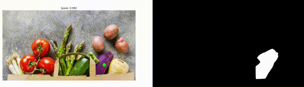 SAM-2 Segmentation